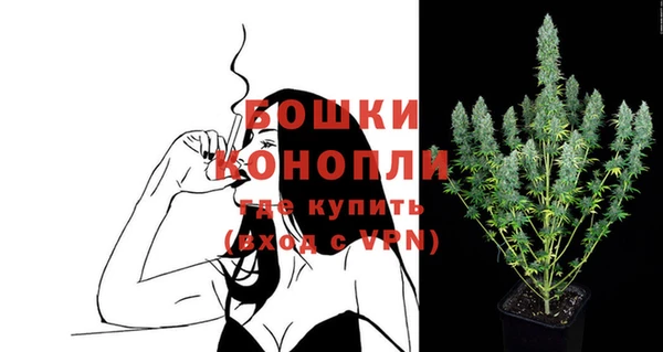 тгк Арсеньев