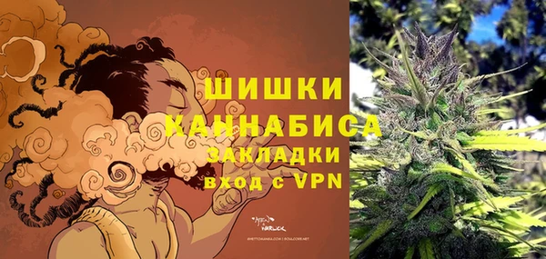 тгк Арсеньев