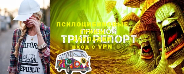 гашик Аркадак