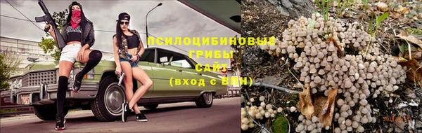 тгк Арсеньев