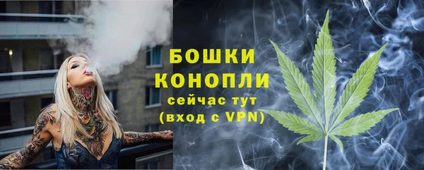 мяу мяу мука Пролетарск