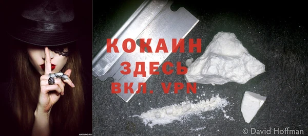тгк Арсеньев