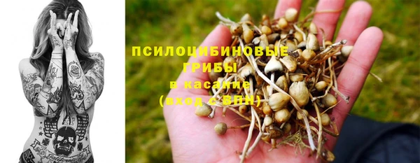 гашик Аркадак